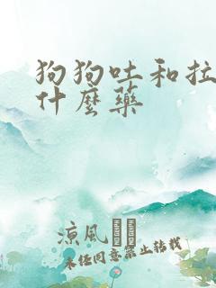 狗狗吐和拉稀吃什么药