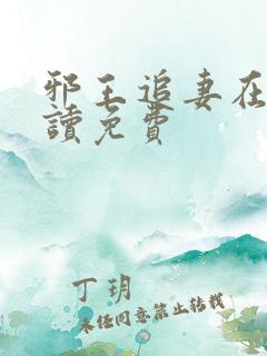 邪王追妻在线阅读免费