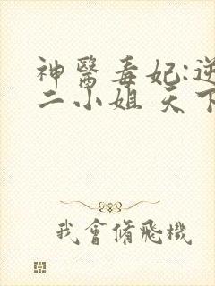 神医毒妃:逆天二小姐 天下长歌