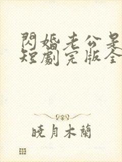 闪婚老公是总裁短剧完版全集