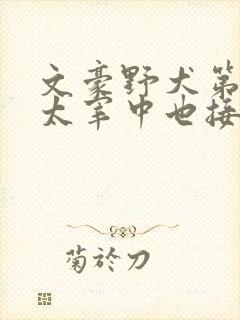 文豪野犬第8集太宰中也接吻