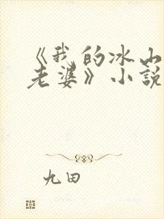 《我的冰山总裁老婆》小说