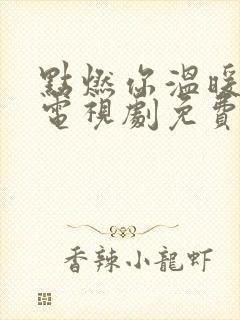 点燃你温暖我的电视剧免费播放