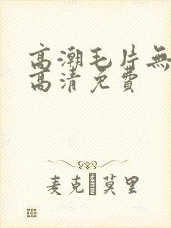 高潮毛片无摭挡高清免费