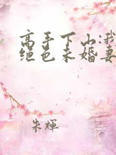 高手下山:我的绝色未婚妻小说完整