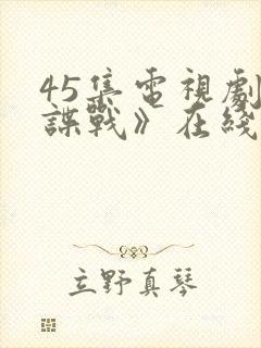 45集电视剧《谍战》在线观看