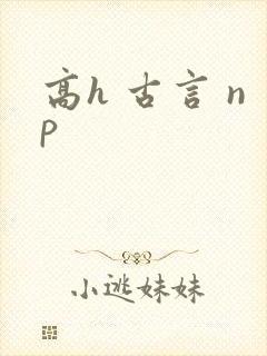 高h 古言 np