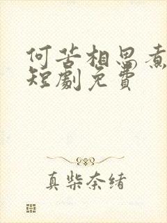 何苦相思煮余年短剧免费