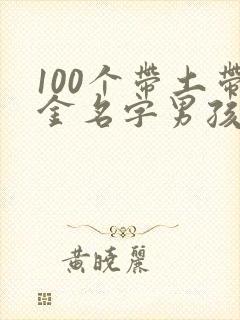 100个带土带金名字男孩
