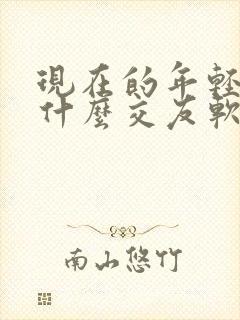 现在的年轻人用什么交友软件