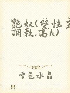 艳奴(双性主奴调教,高h)