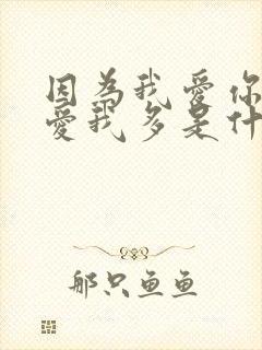 因为我爱你比你爱我多是什么歌