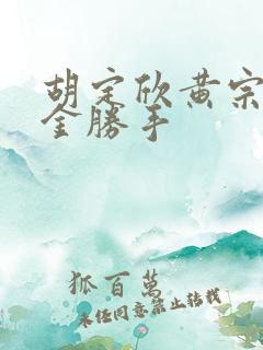 胡定欣黄宗泽点金胜手