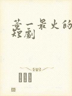 董一最火的十部短剧