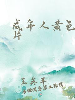 成年人黄色1级片