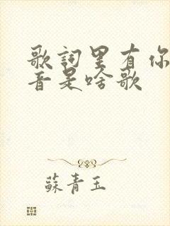 歌词里有你的声音是啥歌