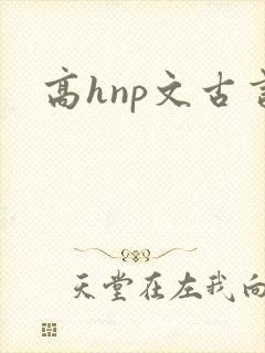 高hnp文古言