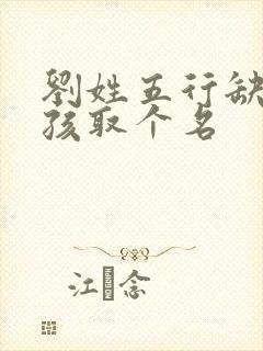 刘姓五行缺金男孩取个名