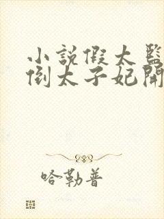 小说假太监从推倒太子妃开始李显完结