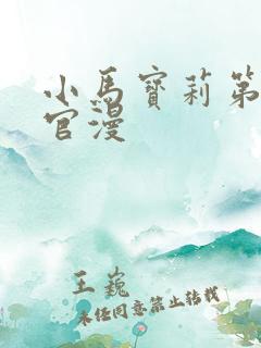 小马宝莉第十季官漫