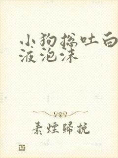 小狗总吐白色粘液泡沫