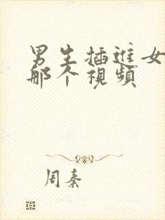 男生插进女生的那个视频