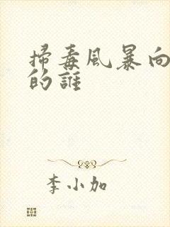 扫毒风暴向佐演的谁