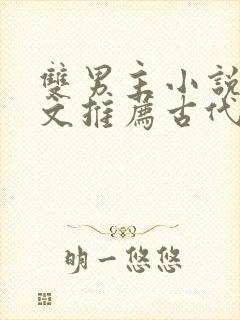 双男主小说穿书文推荐古代