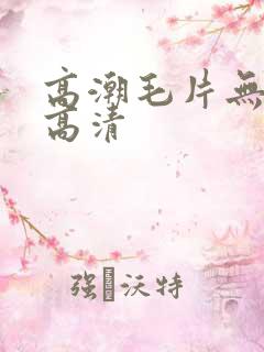 高潮毛片无遮挡高清