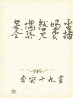 是偶然吗电视剧全集免费播放