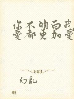 你不明白我说不爱都更加爱是什么歌