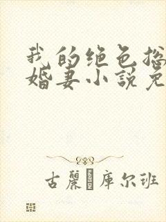 我的绝色总裁未婚妻小说免费