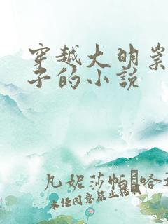 穿越大明崇祯儿子的小说