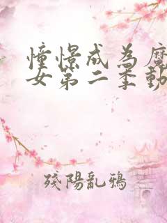 憧憬成为魔法少女第二季动画