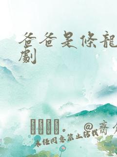 爸爸是条龙电视剧