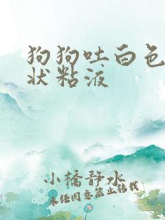 狗狗吐白色泡沫状粘液