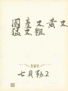 国产又黄又爽又猛又粗