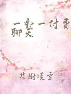 一对一付费视频聊天