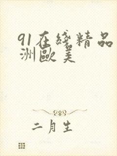91在线精品亚洲欧美