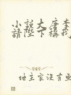 小说大唐李承乾请陛下称我为太子在线观看