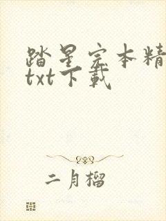 踏星完本精校版txt下载