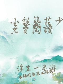 小说簪花少年郎免费阅读