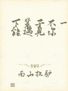 下辈子不一定还能遇见你