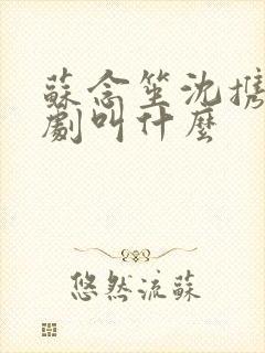 苏念笙沈携西短剧叫什么