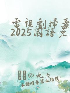 电视剧扫毒风暴2025国语免费观看