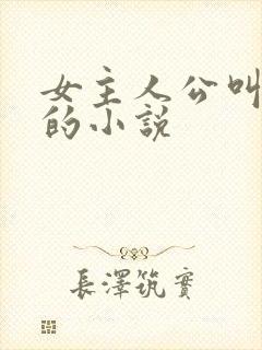 女主人公叫苏晓的小说