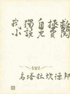 我独自拯救反派小说免费阅读无弹窗