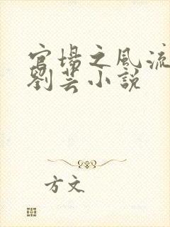 官场之风流医少刘芸小说