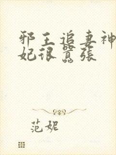 邪王追妻神医狂妃很嚣张