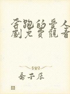 奔跑的爱人电视剧免费观看全集